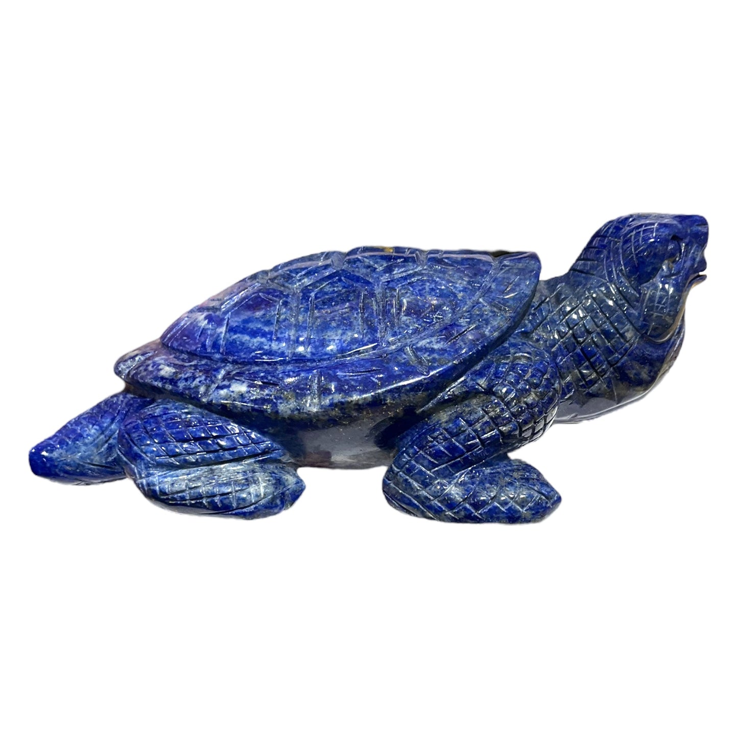 Tortue en Lapis-lazuli pièce unique numéro TL1