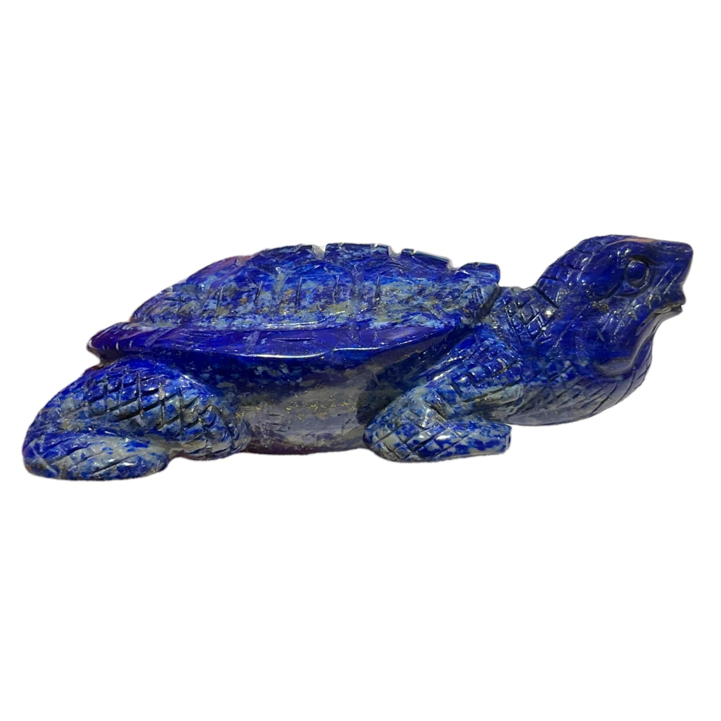 Tortue en Lapis-lazuli pièce unique numéro TL2