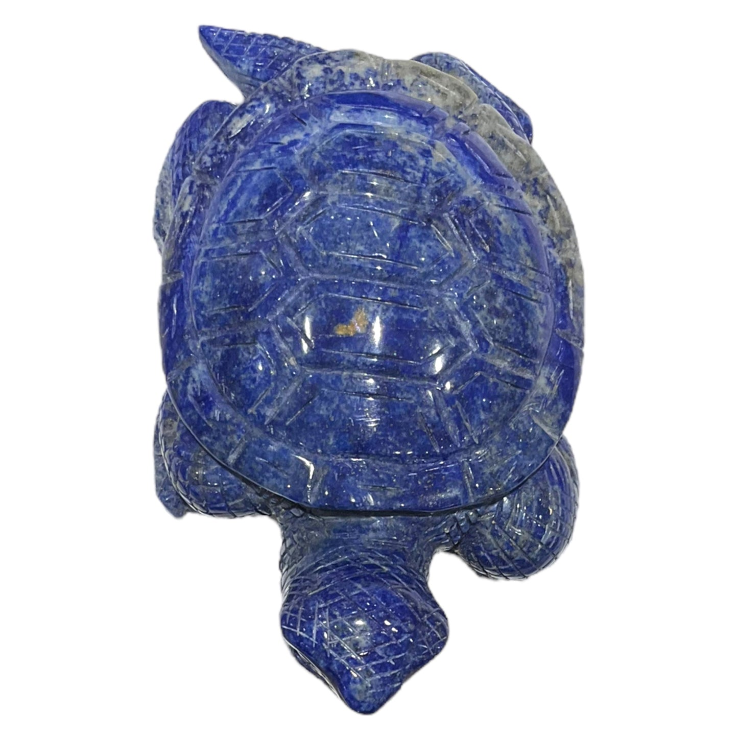 Tortue en Lapis-lazuli pièce unique numéro TL1