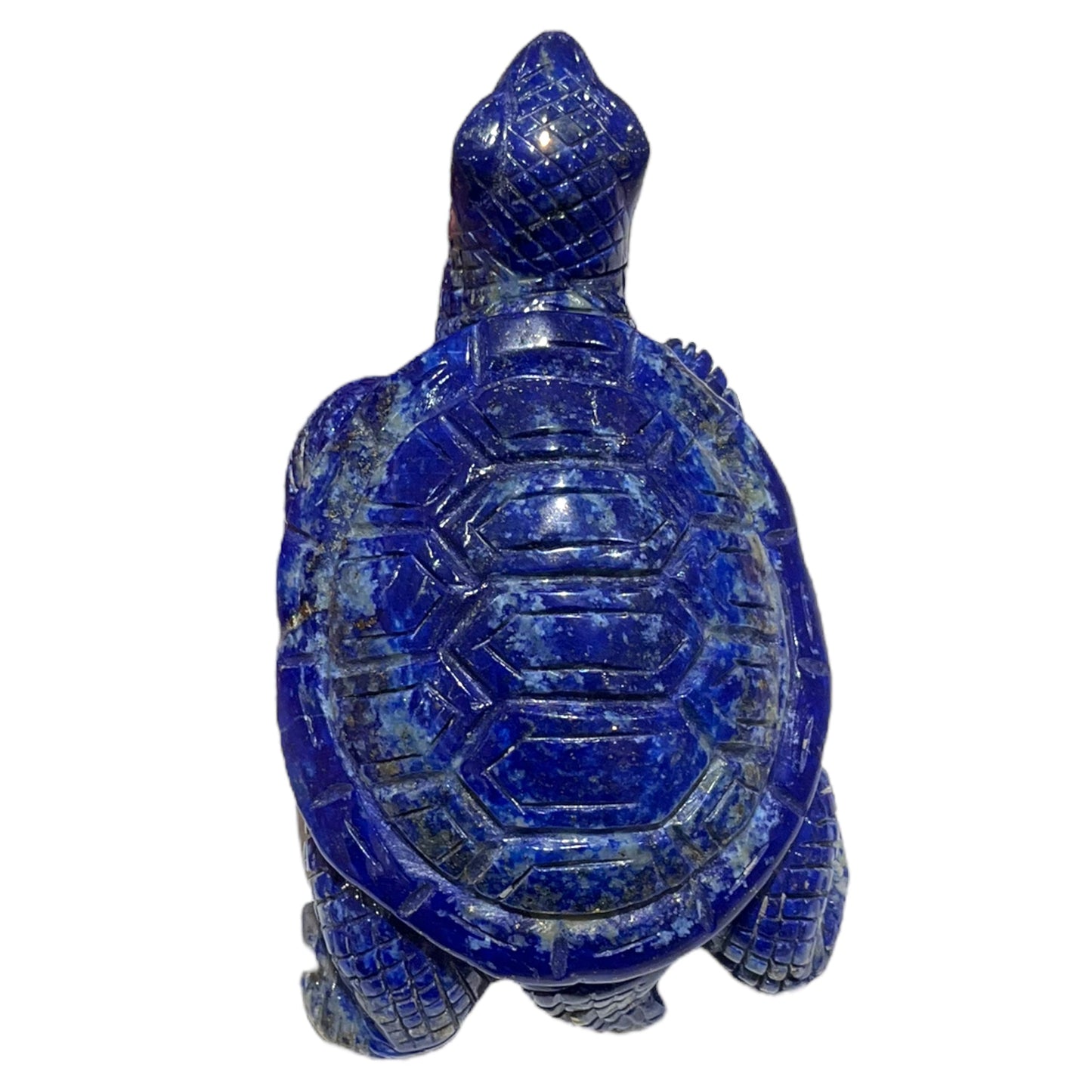 Tortue en Lapis-lazuli pièce unique numéro TL2