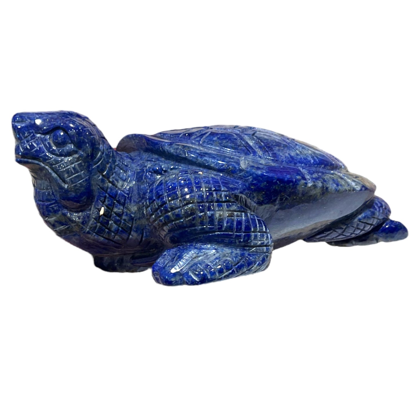 Tortue en Lapis-lazuli pièce unique numéro TL1