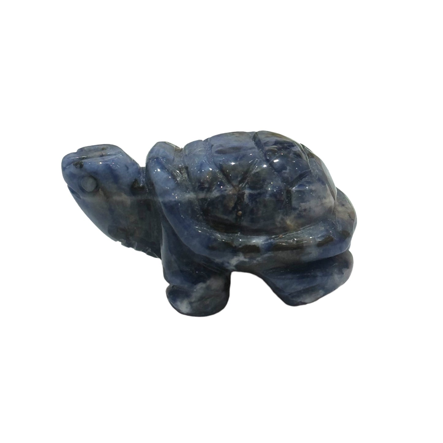 Tortue en Sodalite taille moyenne