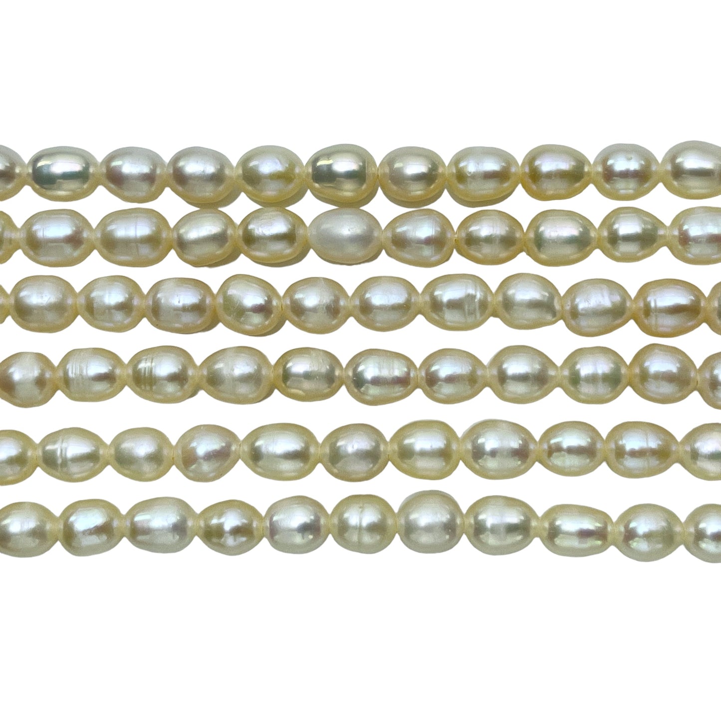 Fil de perle d’eau douce blanche  5-5,5mm #58