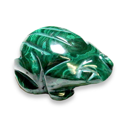 Grenouille en malachite du Congo