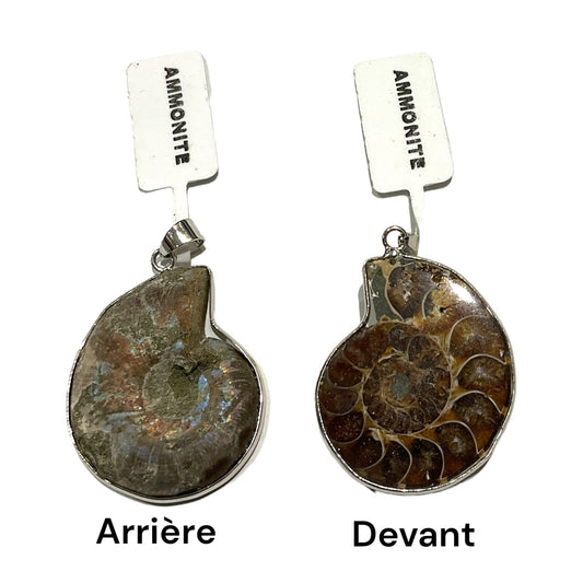 Pendentif en ammonite argenté